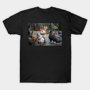 Free range chicken in the countryside T-Shirt